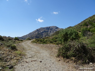 Monte Scuderi: 5 visite oggi