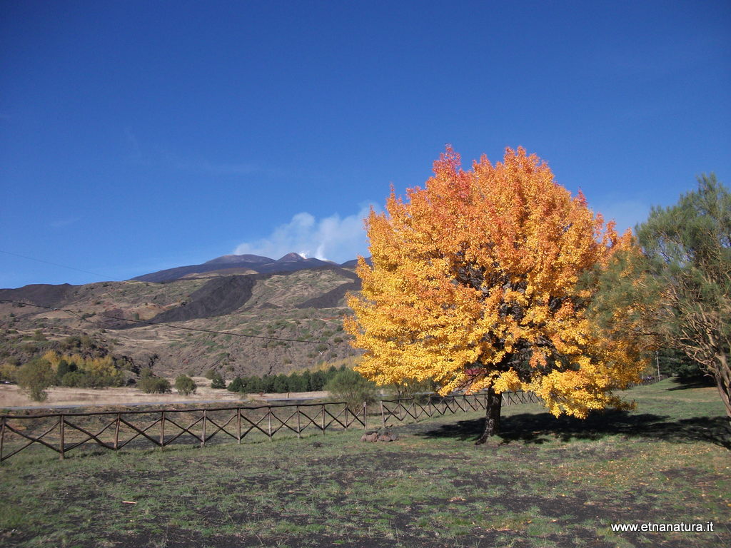 Monte Vetore