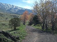 Monte_Vituddi - 20100509%20049.jpg