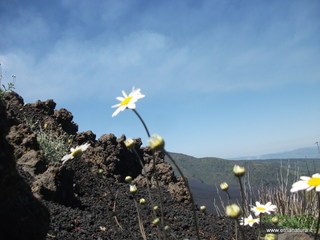 Monte Zoccolaro