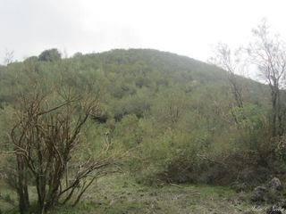 Monte santa Maria