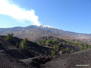 Numero visite mese Maggio: 124