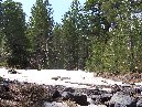 nti Sartorius-Pineta