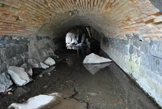 Numero visite oggi: 6