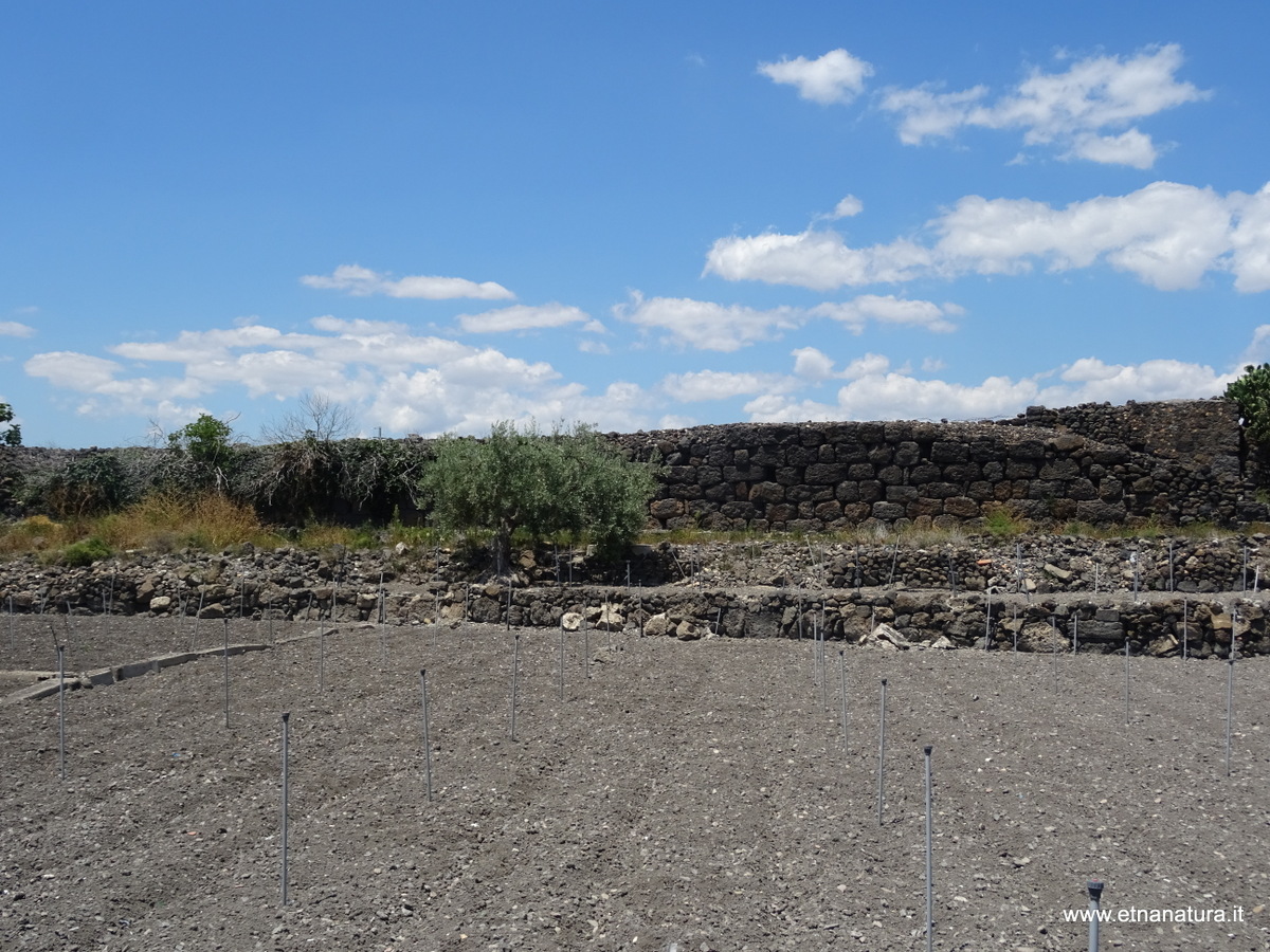 Mura Dionigiane Adrano-Numero visite:29176