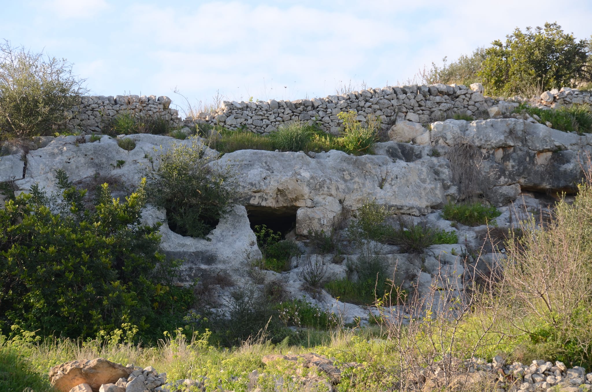 Necropoli Bellamagna