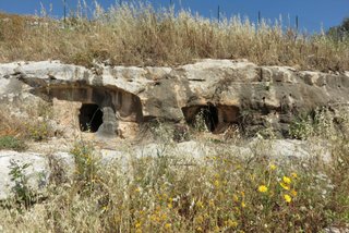 Necropoli Calicantone: 280 visite da Maggio 2022