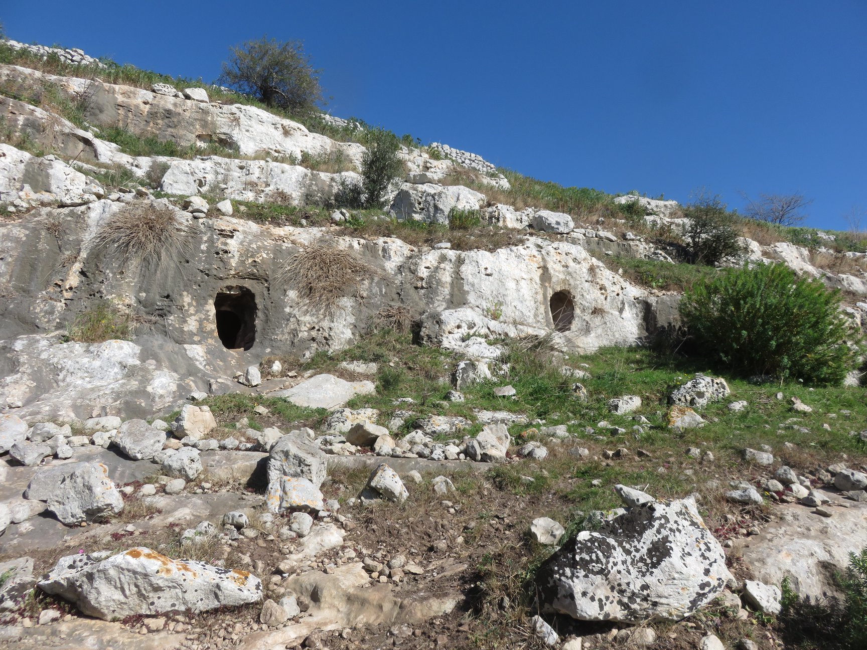 Necropoli cava Granati-Numero visite:19253