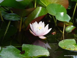 Orto botanico Catania