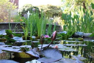Orto botanico Catania