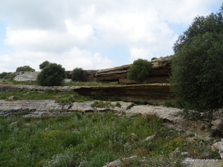 Numero visite mese Maggio: 58