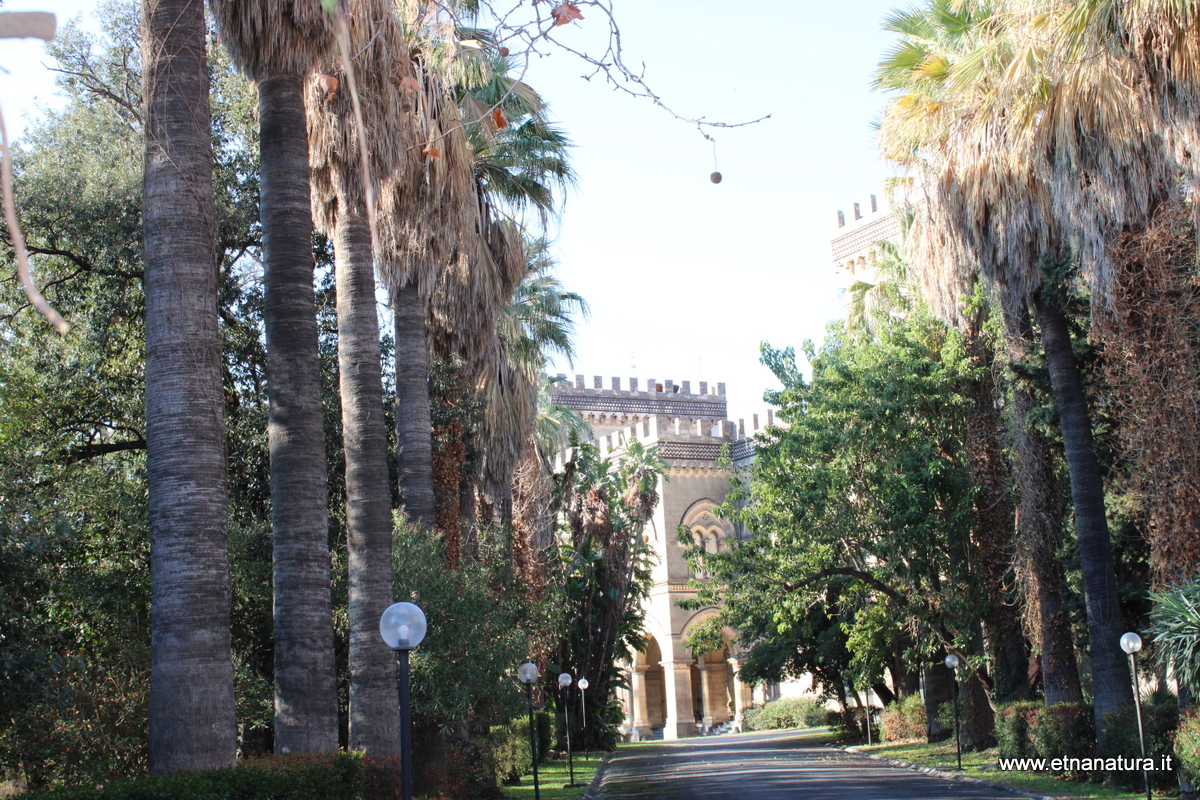 Palazzo Pennisi Acireale-Numero visite:852