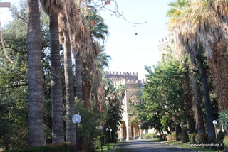 Palazzo Pennisi Acireale