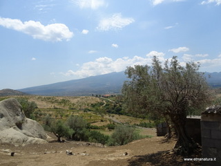 Palmento Roccella