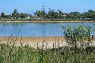 Pantano Ponterio