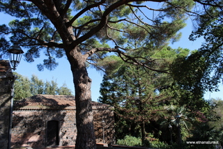 Parco Aniante