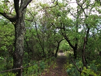 Parco_Cosentini - 20110417%20001.jpg