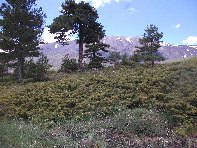 Piano_Provenzana - 20100606%20118.jpg