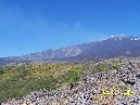 anobello-Eruzione del 1950 5 7 2009 035