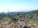 anobello-Eruzione del 1950 5 7 2009 043