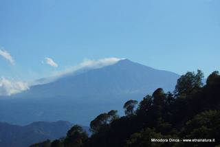 Numero visite mese Maggio: 45