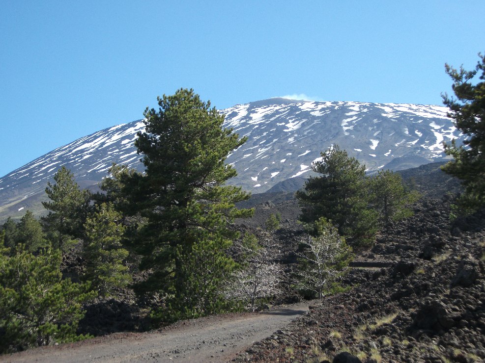 Pista Altomontana