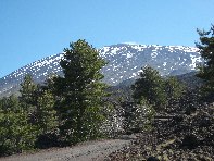 Pista Altomontana: 64641 visite