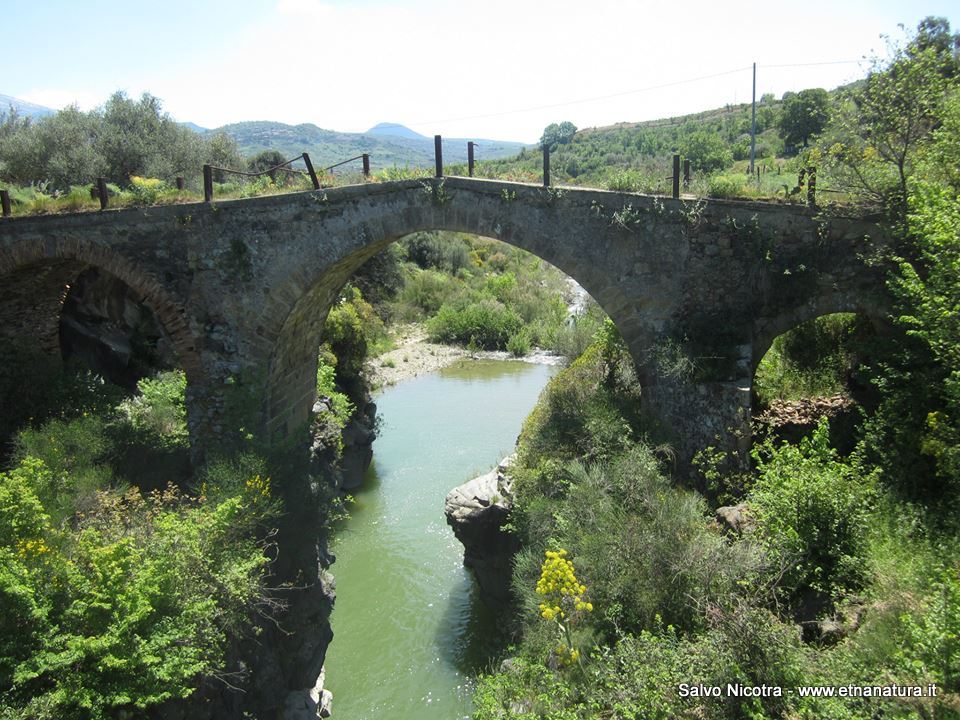 Ponte Serravalle-Numero visite:34016