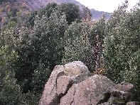 Portella_Calanna - 20101205%20071.jpg