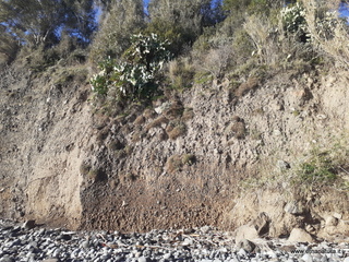 Praiola