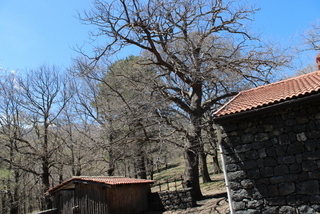 Querce rifugio Zappino
