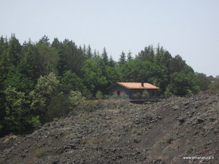 Rifugio monte Concilio: 62938 visite