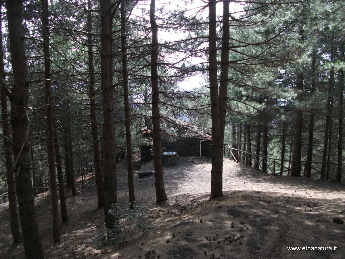 Rifugio monte Gemmellaro-Numero visite:7963