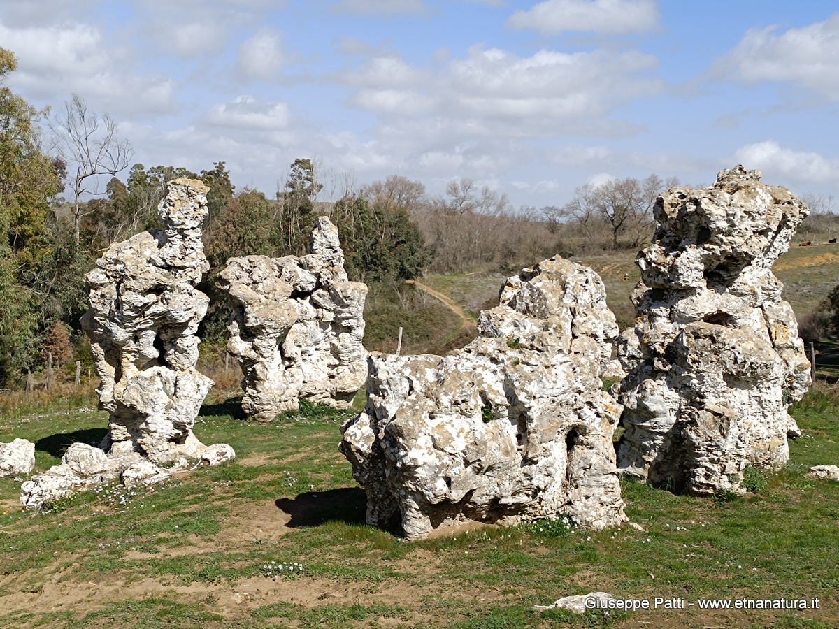 Riserva Rossomanno-Numero visite:214