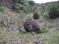 Salto_del_Cane - 20100602%20047.jpg
