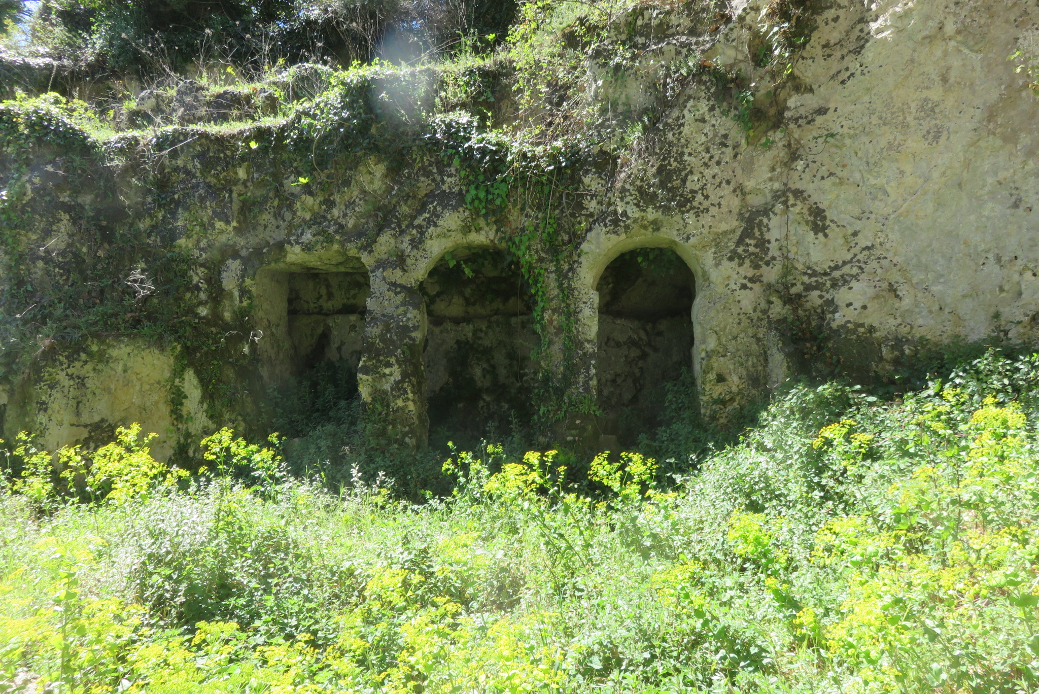 Santa Lucia di Mendola-Numero visite:199