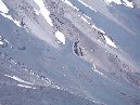 hiena dell AsinoSchiena dell asino 040