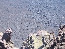 hiena dell AsinoSchiena dell asino 058