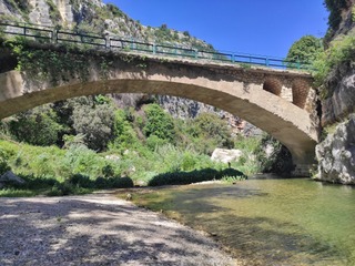 Numero visite oggi: 4