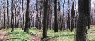 Serra_Buffa - panoramica.jpg