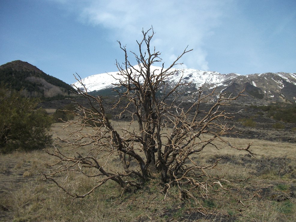 Serra Pizzuta