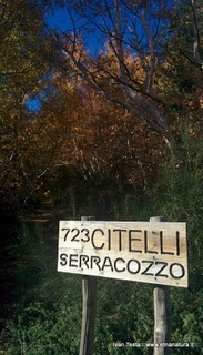 rra delle Concazze-IMG 20151108 101830