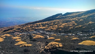rra delle Concazze-IMG 20151108 111952-2