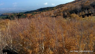 rra delle Concazze-IMG 20151108 130003