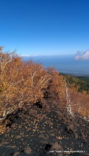 rra delle Concazze-IMG 20151108 130127