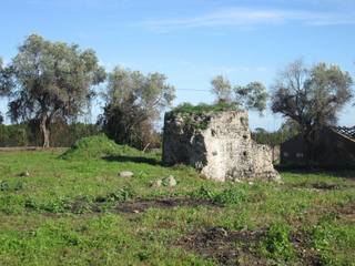 rme santa Veneramulino