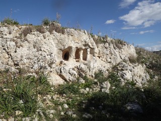 Tomba Timognosa: 7 visite oggi