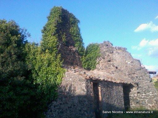 Torre del Grifo