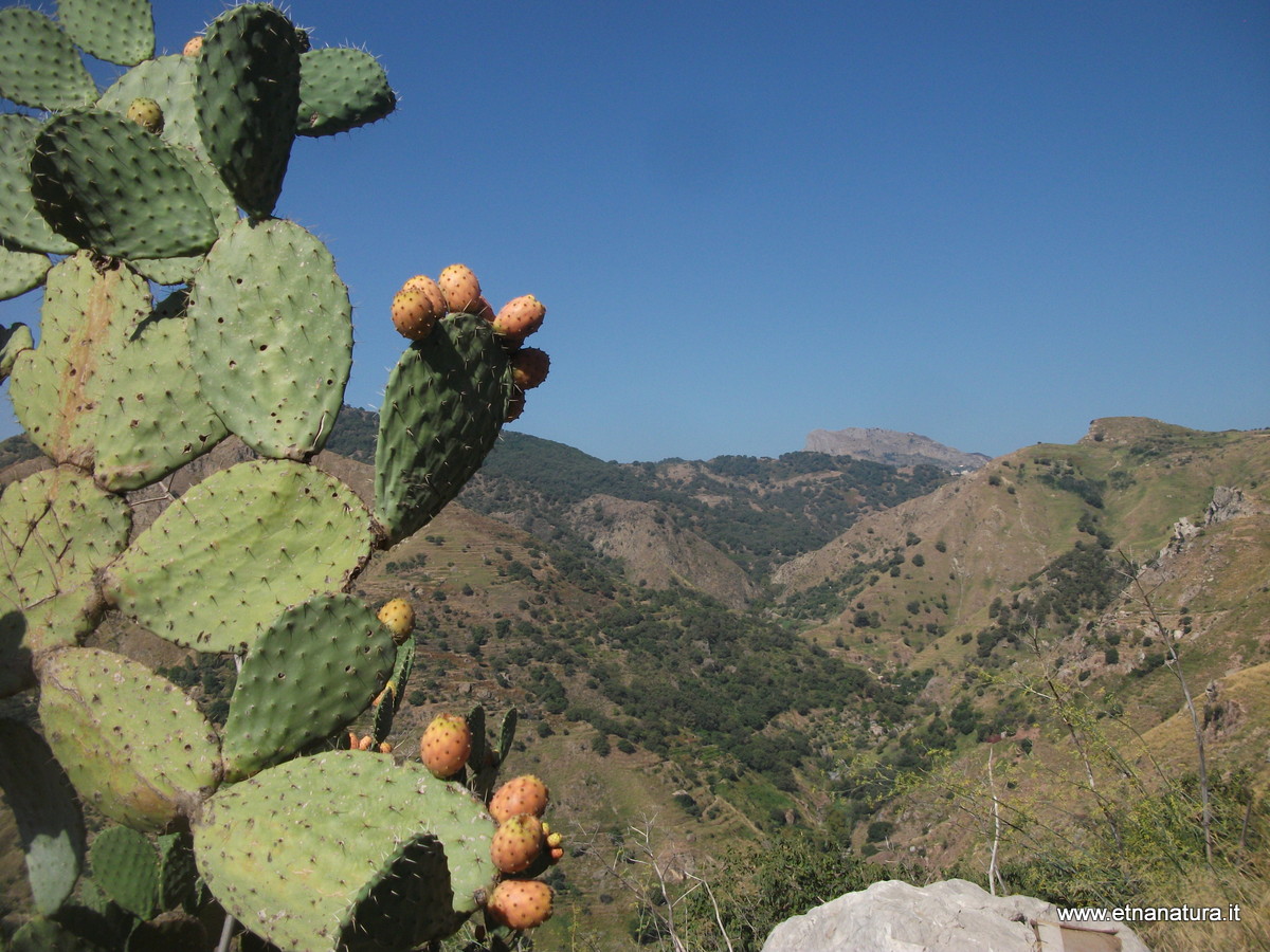 Torrente Caliero