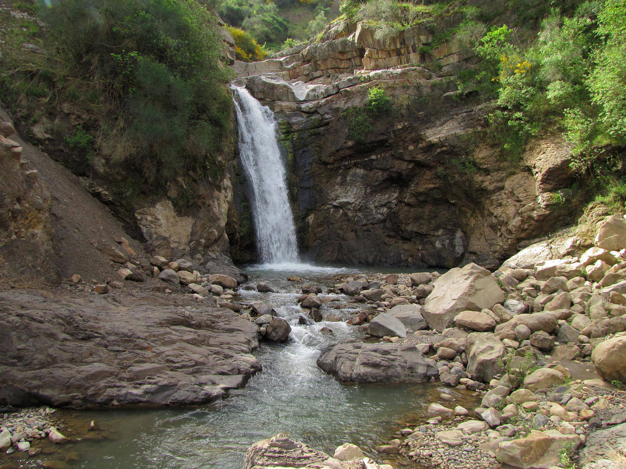 Torrente Nicoletta-Numero visite:31086